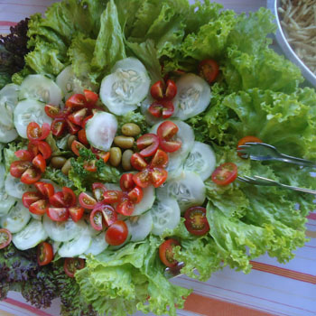 Churrasco salada verde